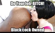 107293 - Black Cock Gallery