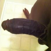 15920 - Black Cock Gallery