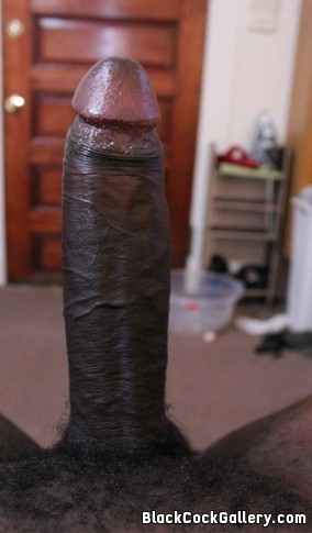 182914 - Black Cock Gallery