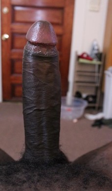 188222 - Black Cock Gallery