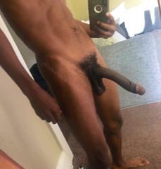 213907 - Black Cock Gallery