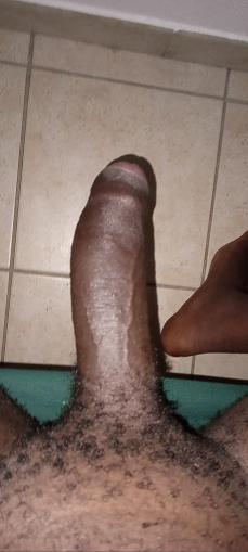 218115 - Black Cock Gallery